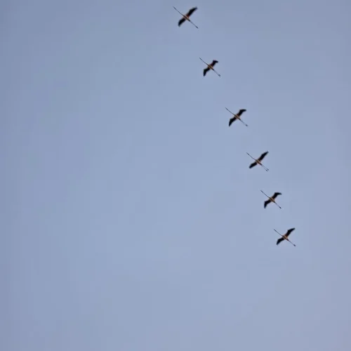 IMG-20250726-WA0076